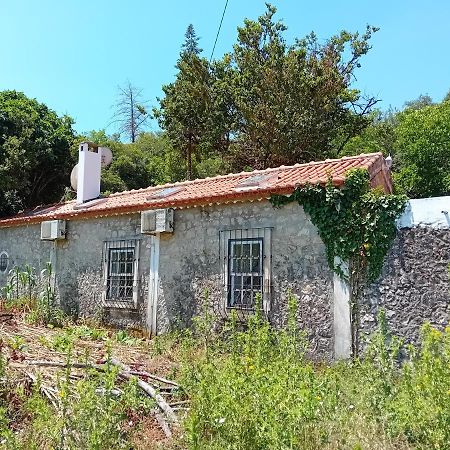 Retiro D'Azenha Βίλα Almoster Εξωτερικό φωτογραφία