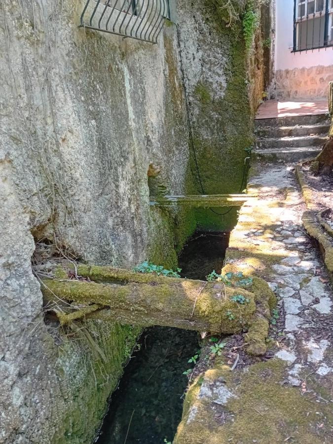 Retiro D'Azenha Βίλα Almoster Εξωτερικό φωτογραφία
