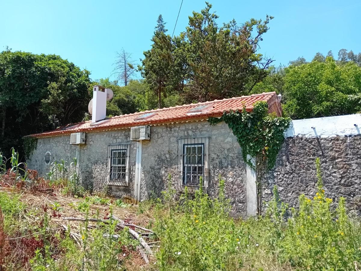Retiro D'Azenha Βίλα Almoster Εξωτερικό φωτογραφία