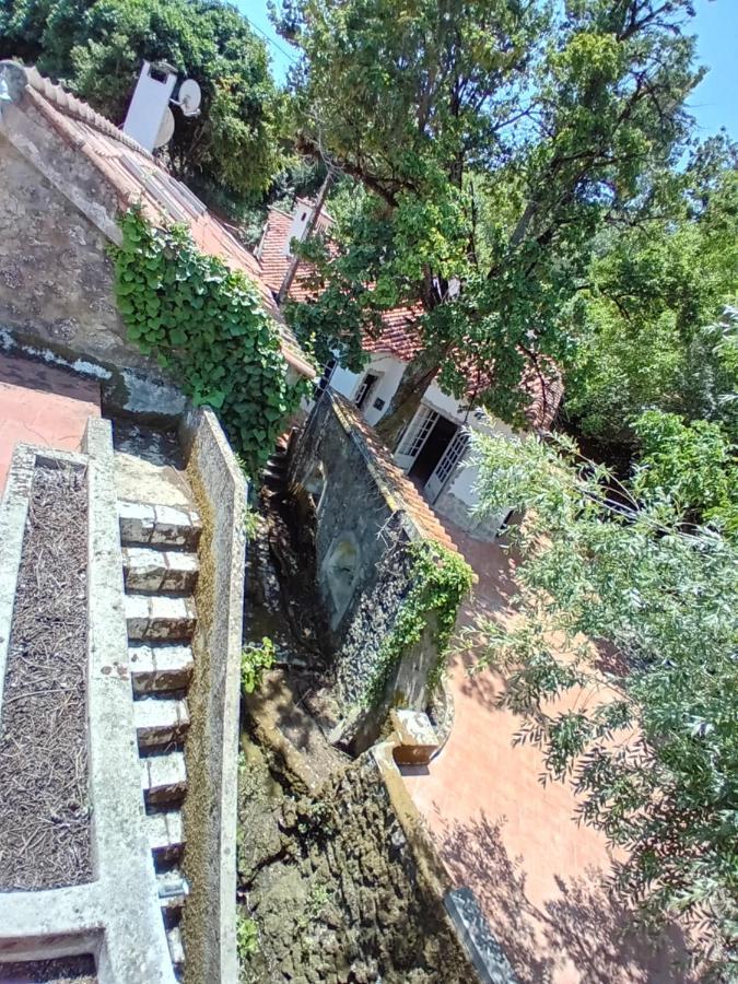 Retiro D'Azenha Βίλα Almoster Εξωτερικό φωτογραφία